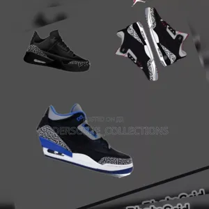 Blue/Grey Unisex Jordan Shoes