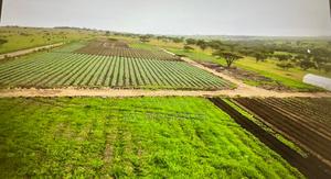29 Acre Ready Farm Isinya Kajiado - thumbnail 2