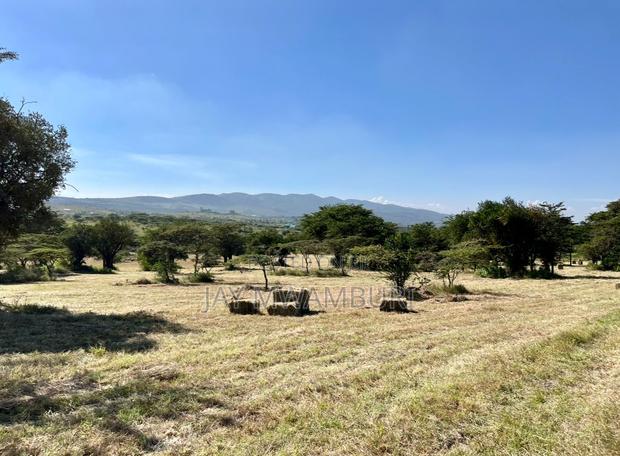 29 Acre Ready Farm Isinya Kajiado - thumbnail 4