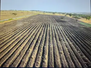 29 Acre Ready Farm Isinya Kajiado