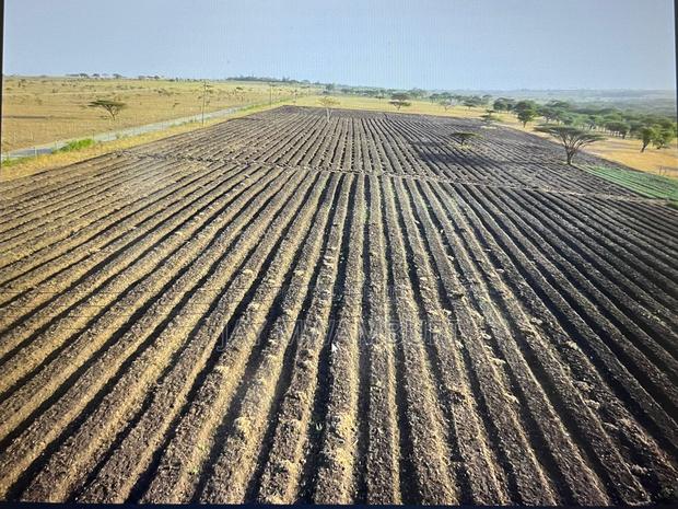 29 Acre Ready Farm Isinya Kajiado - thumbnail 5