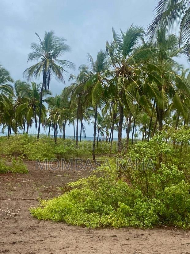 1/4 Acre Second Row Beach Plot. - main view