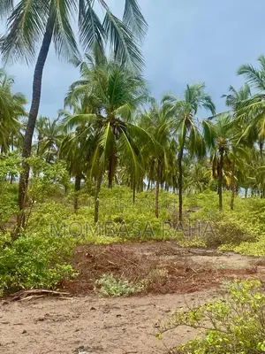1/4 Acre Second Row Beach Plot.