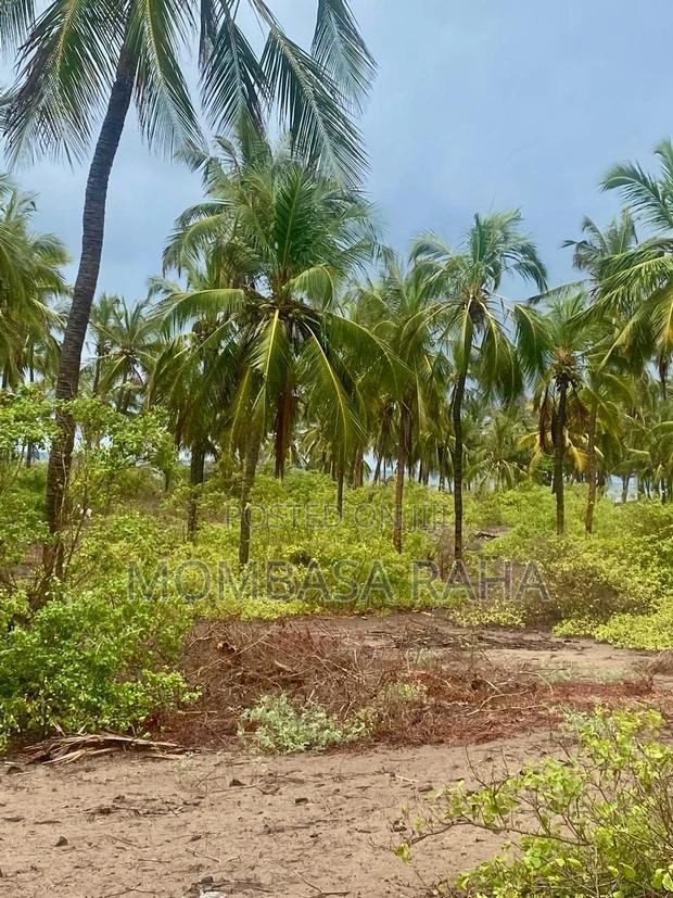 1/4 Acre Second Row Beach Plot. - thumbnail 3