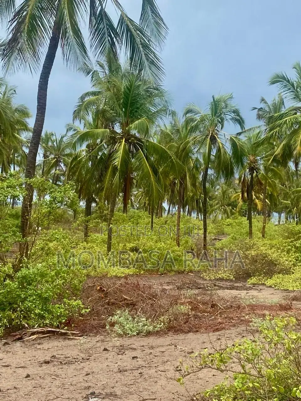 1/4 Acre Second Row Beach Plot.