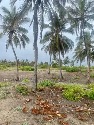 1/4 Acre Second Row Beach Plot.