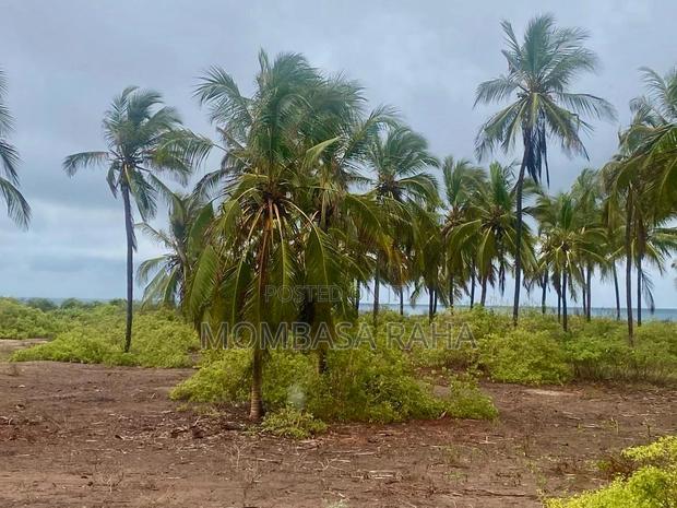 1/4 Acre Second Row Beach Plot. - thumbnail 5