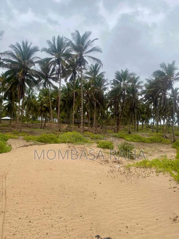 1/4 Acre Second Row Beach Plot. - thumbnail 7