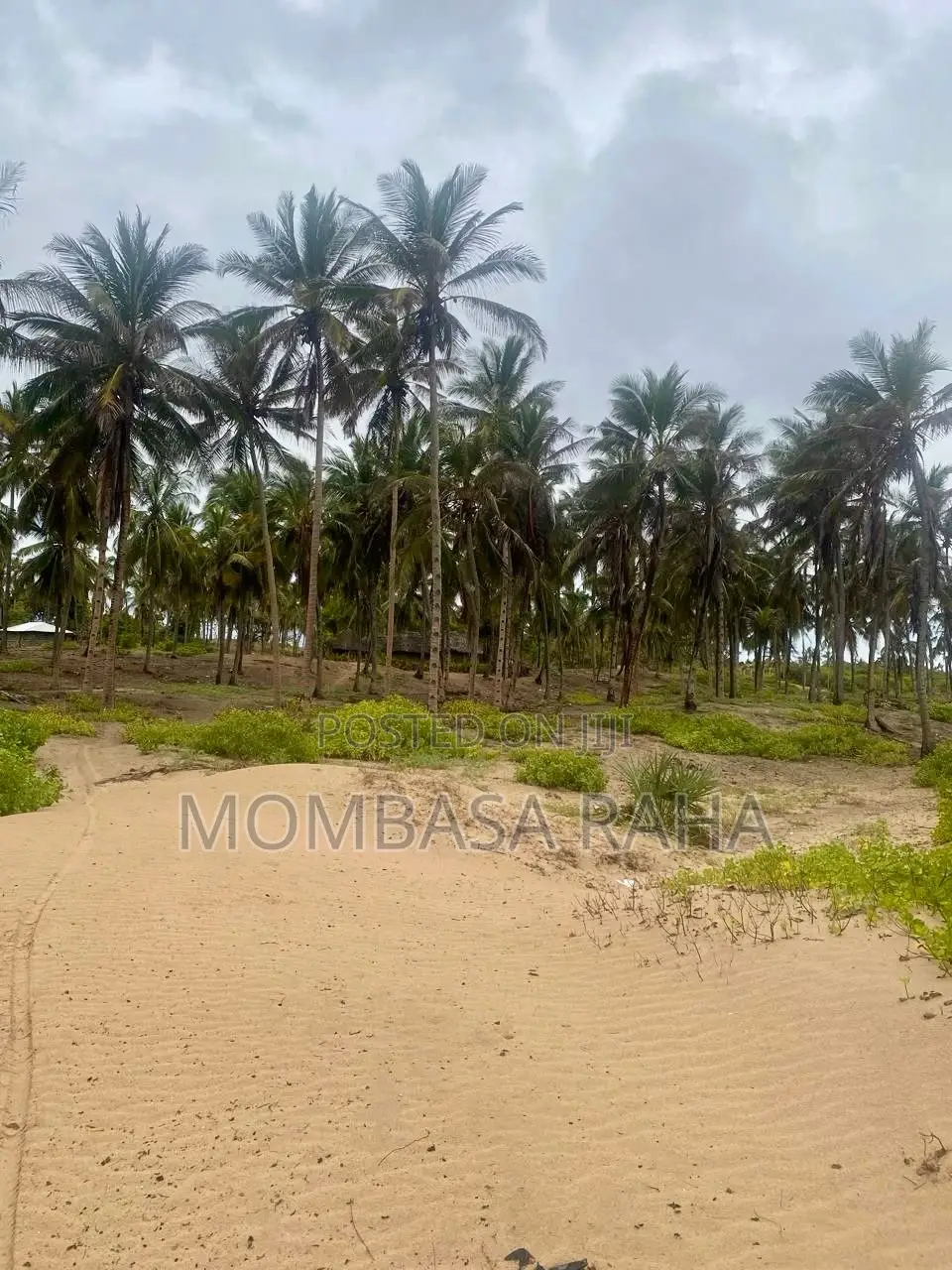 1/4 Acre Second Row Beach Plot.