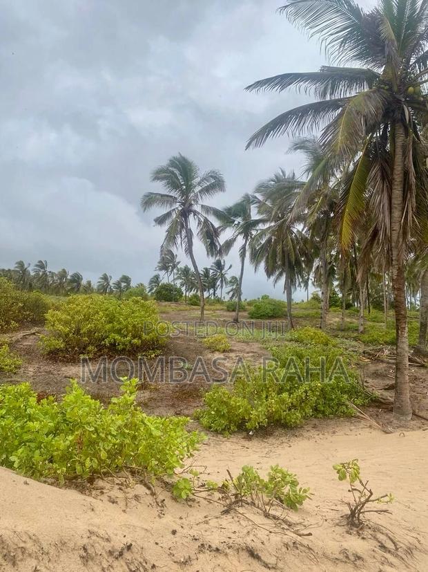 1/4 Acre Second Row Beach Plot. - thumbnail 8