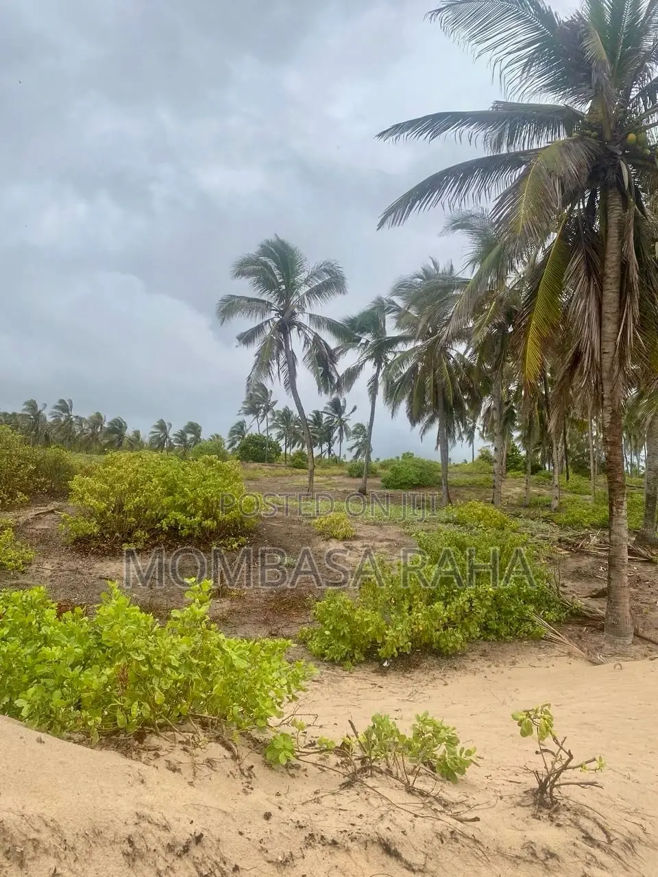 1/4 Acre Second Row Beach Plot.