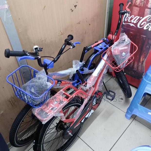 Premier Size 20' Bicycle - main view