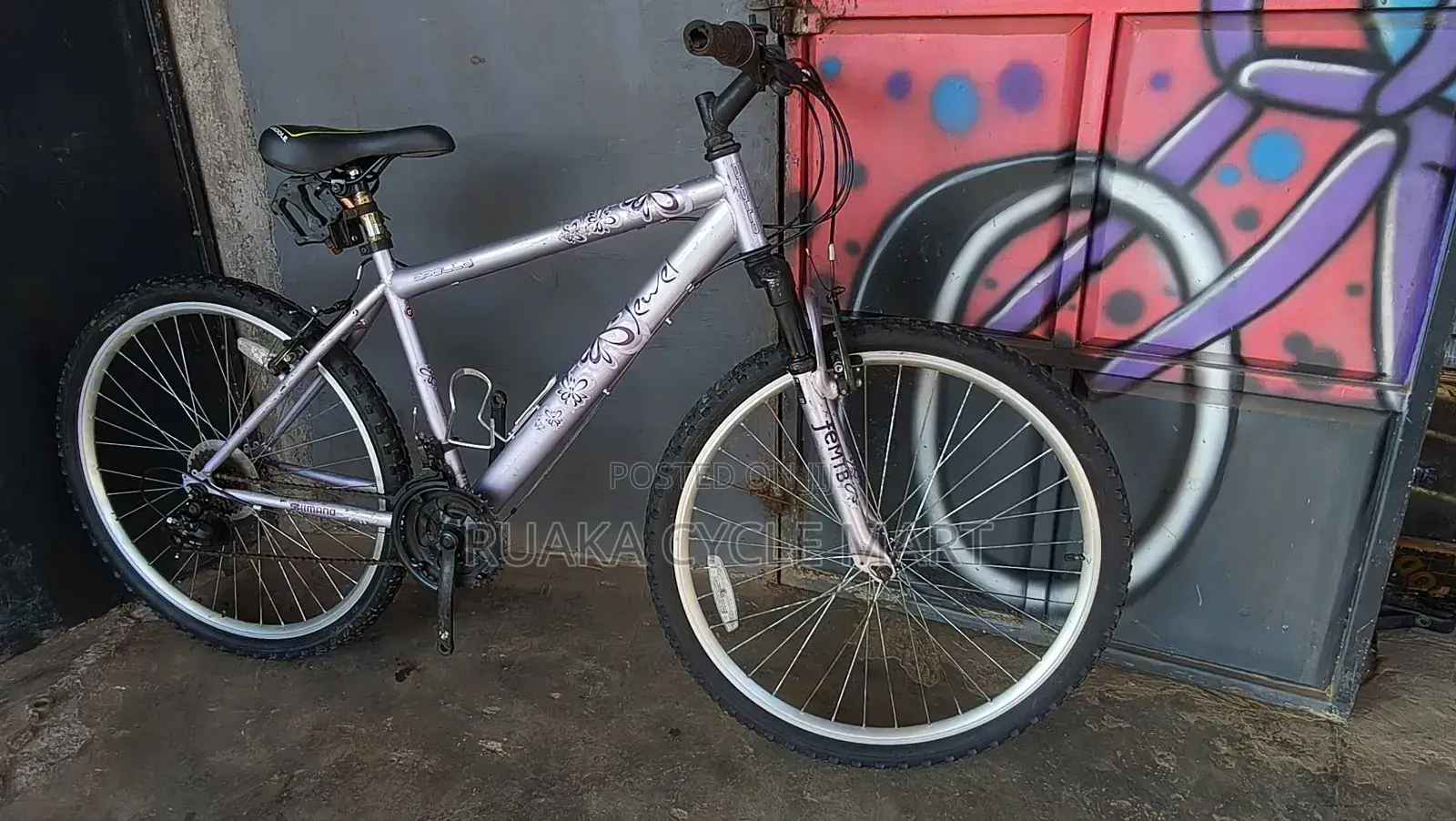 Apollo Mountain Bicycle