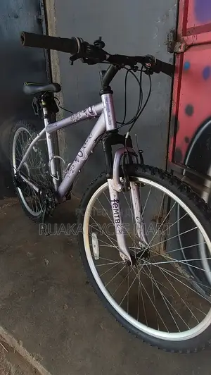 Apollo Mountain Bicycle
