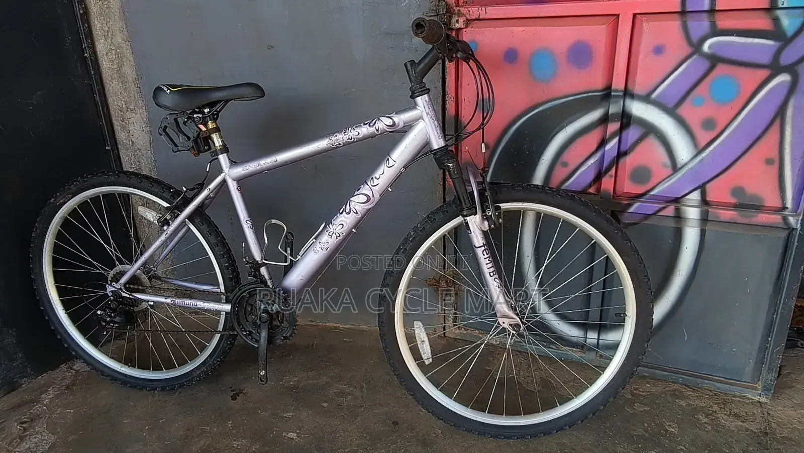 Apollo Mountain Bicycle
