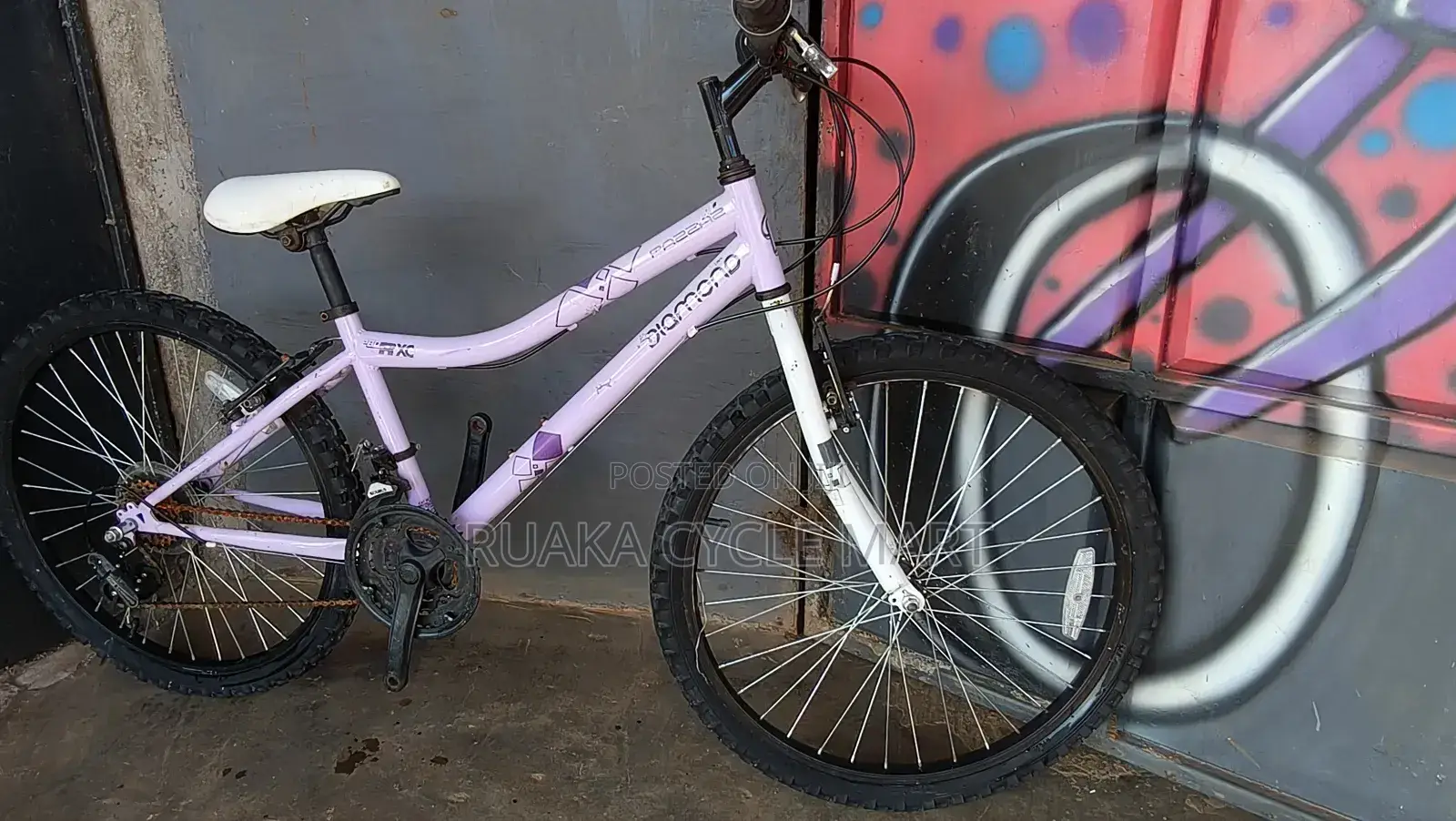 Ex Uk Mountain Bike Size 24