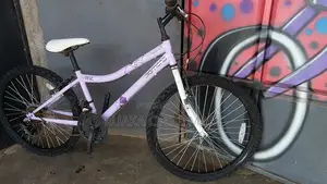 Ex Uk Mountain Bike Size 24