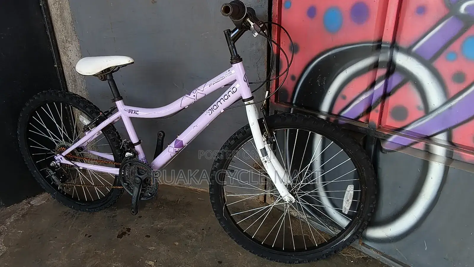 Ex Uk Mountain Bike Size 24