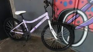 Ex Uk Mountain Bike Size 24