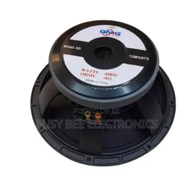 12 Inch Subwoofer Speaker - main view