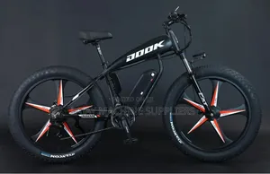 Electric Bike 48v 21 Speed
