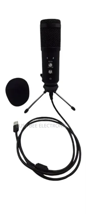 Bm 800 Condenser Microphone