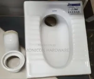 Step Asian Toilet
