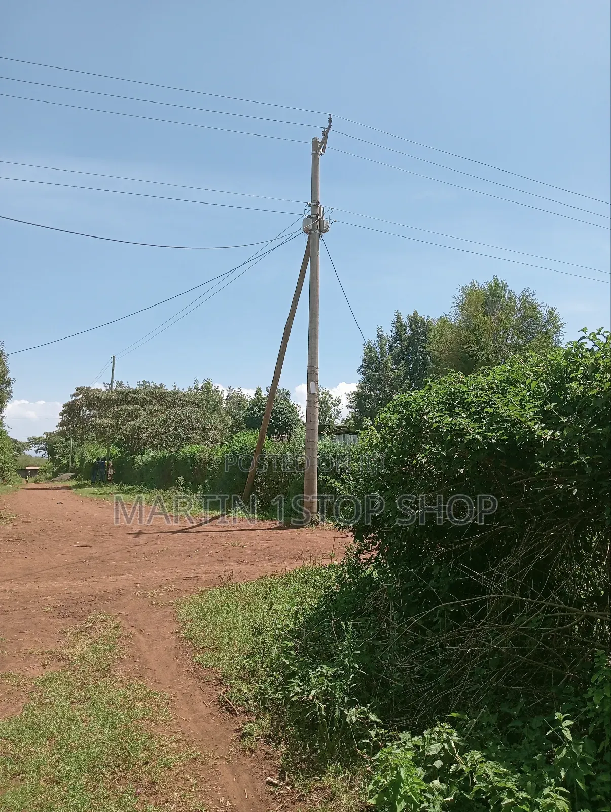 Nyaribo, Kamatongu Nyeri