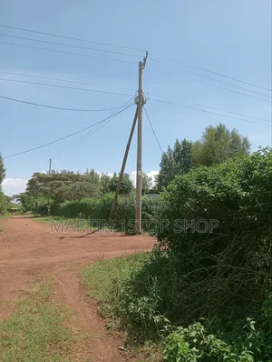 Nyaribo, Kamatongu Nyeri