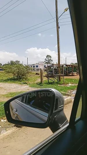 Nyaribo, Kamatongu Nyeri