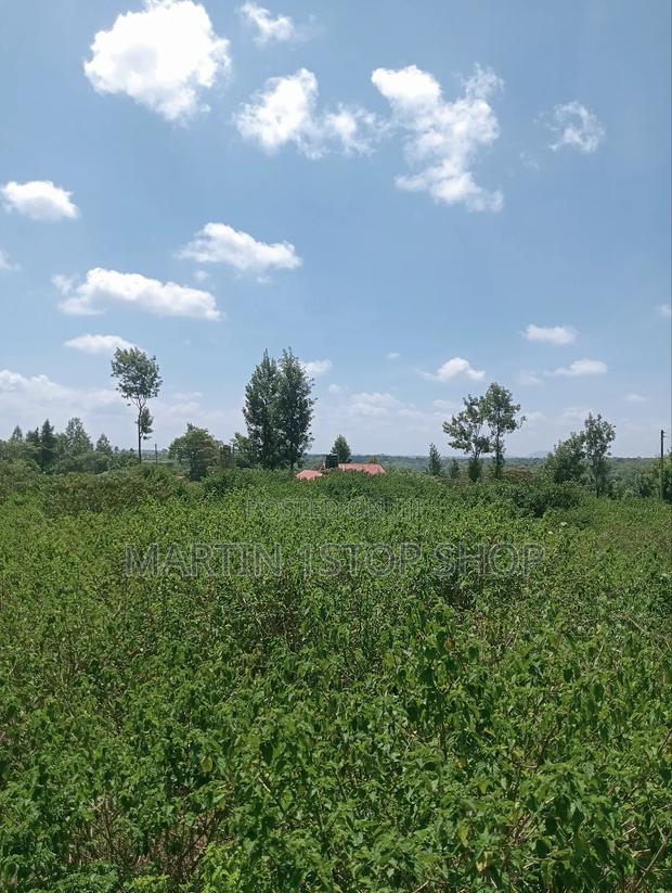 Nyaribo, Kamatongu Nyeri - thumbnail 8