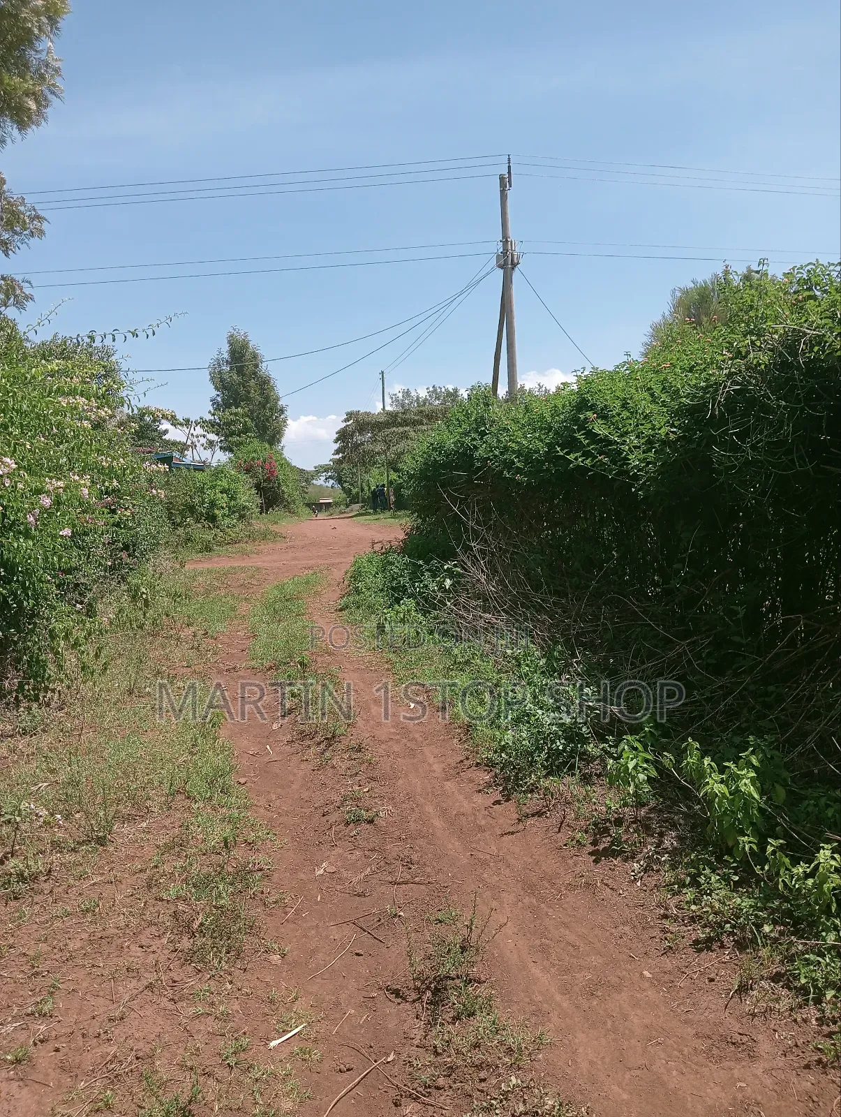 Nyaribo, Kamatongu Nyeri