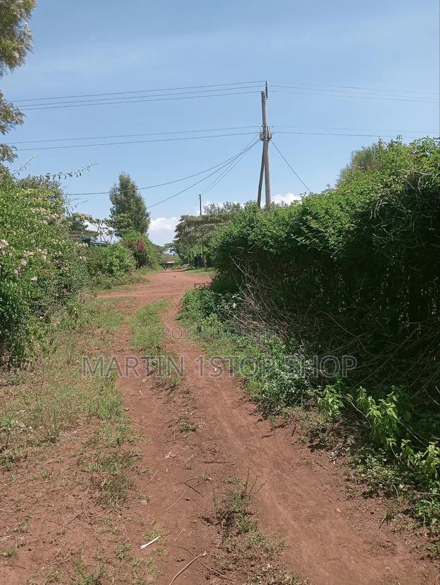 Nyaribo, Kamatongu Nyeri - thumbnail 9