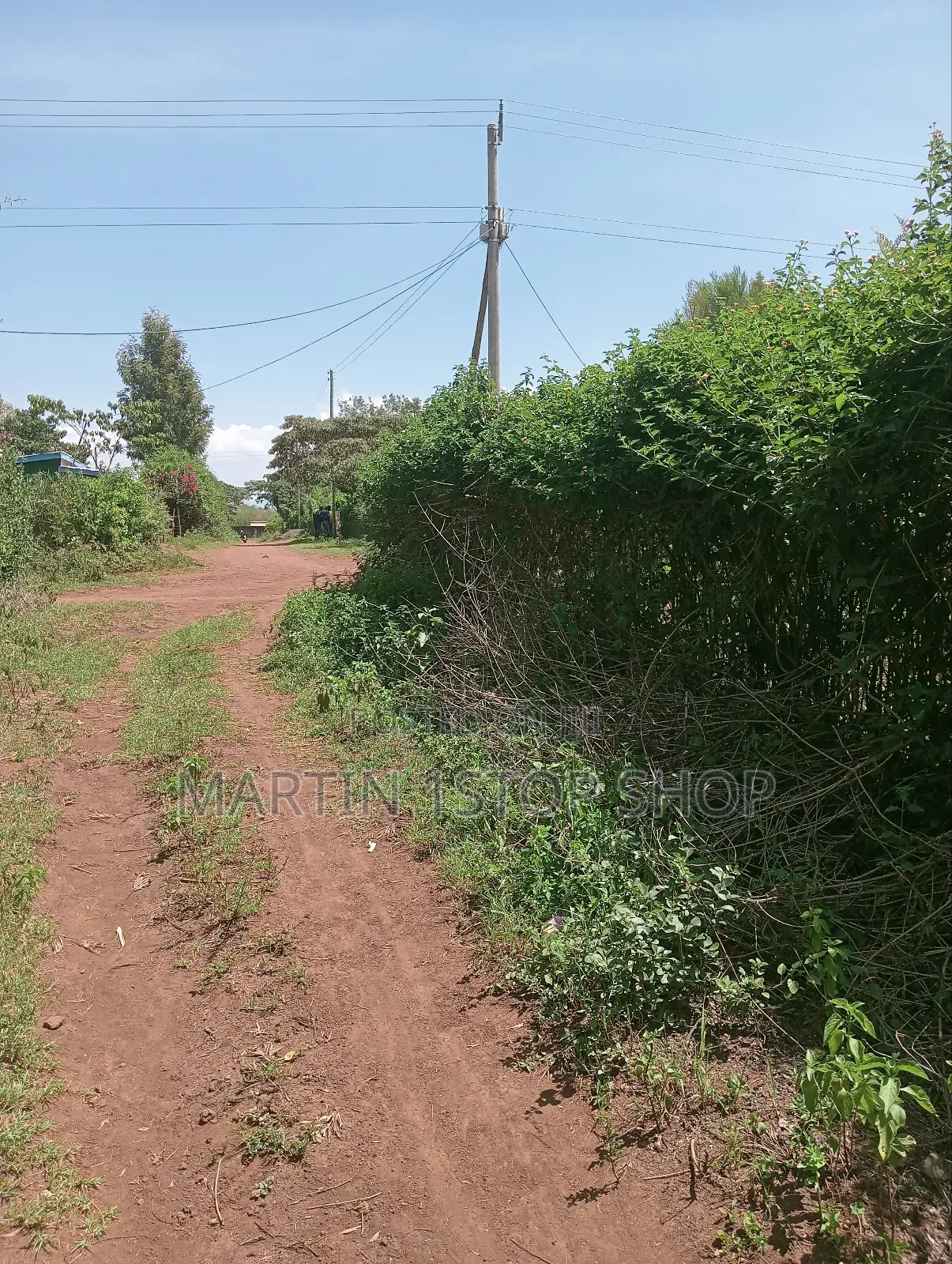 Nyaribo, Kamatongu Nyeri