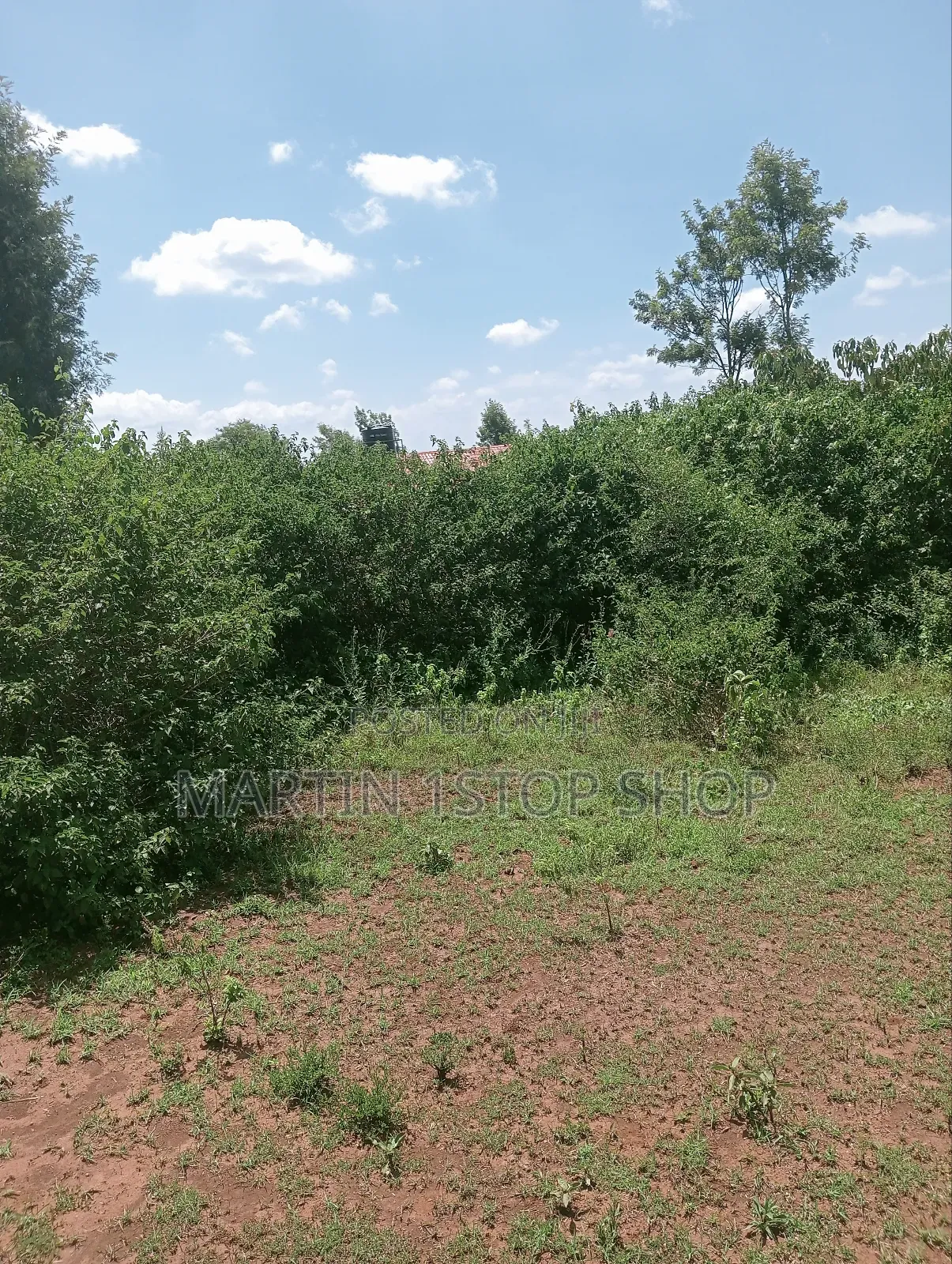 Nyaribo, Kamatongu Nyeri