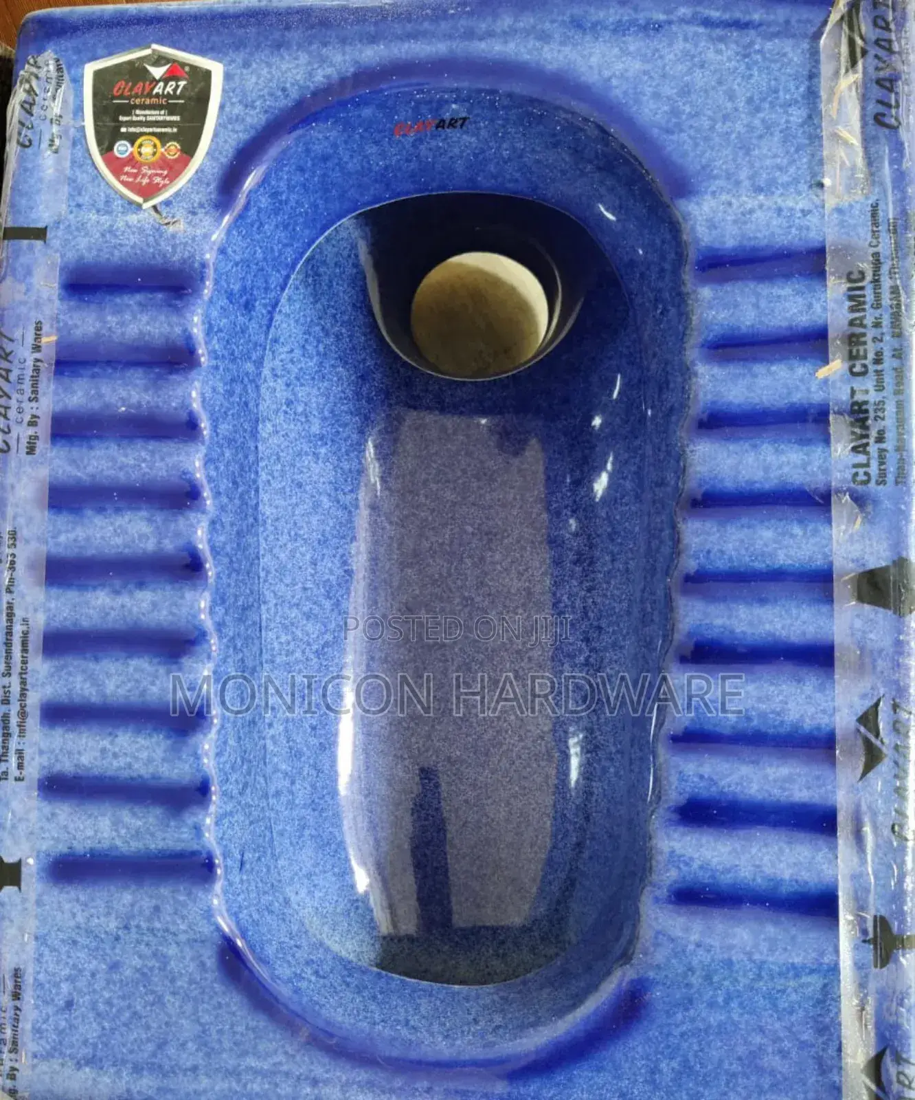 Asian Step Toilet (Blue)
