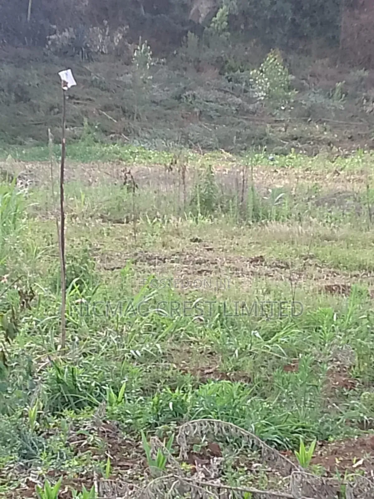 Plots for Sale Near Tilisi Developments