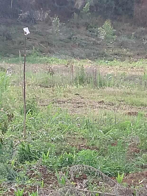 Plots for Sale Near Tilisi Developments - main view