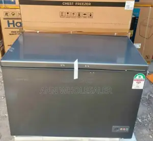 Skyworth 246 Litres Freezer