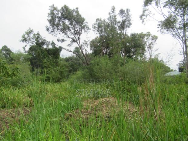 0.5-Acre Plot for Sale in Ridgeways - thumbnail 3