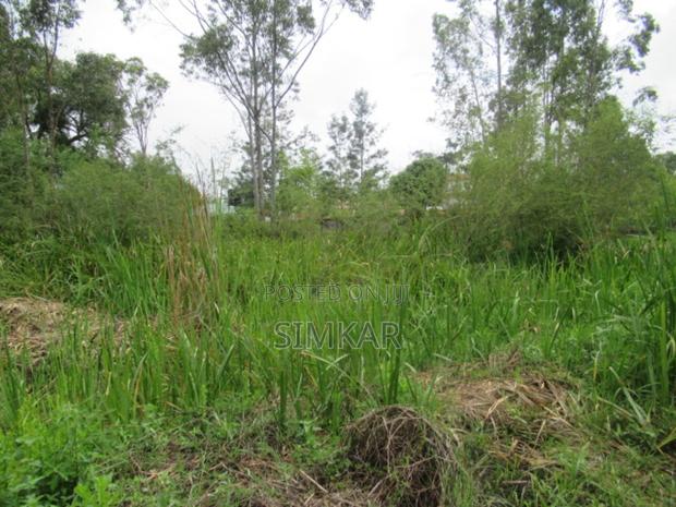 0.5-Acre Plot for Sale in Ridgeways - thumbnail 4