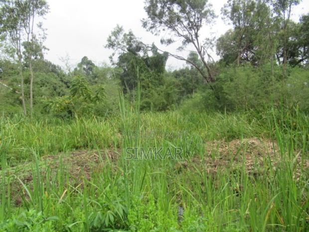 0.5-Acre Plot for Sale in Ridgeways - thumbnail 5