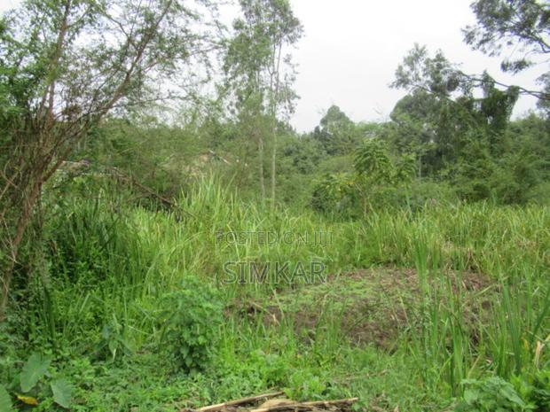 0.5-Acre Plot for Sale in Ridgeways - thumbnail 6