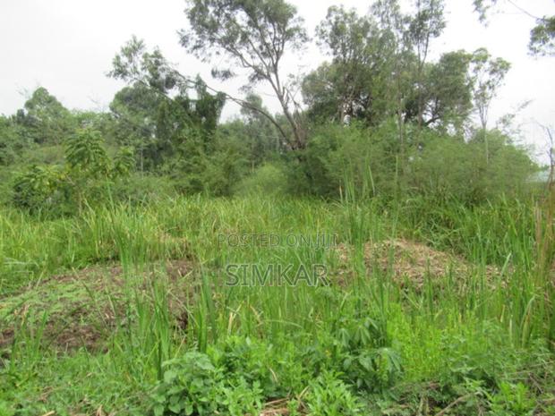 0.5-Acre Plot for Sale in Ridgeways - thumbnail 7