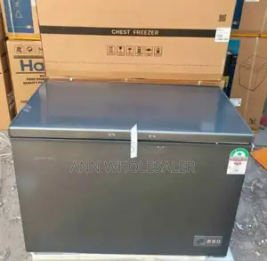 Good Working Skyworth 246 Litres Freezer
