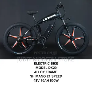 Electric Bike With Alloy Frame