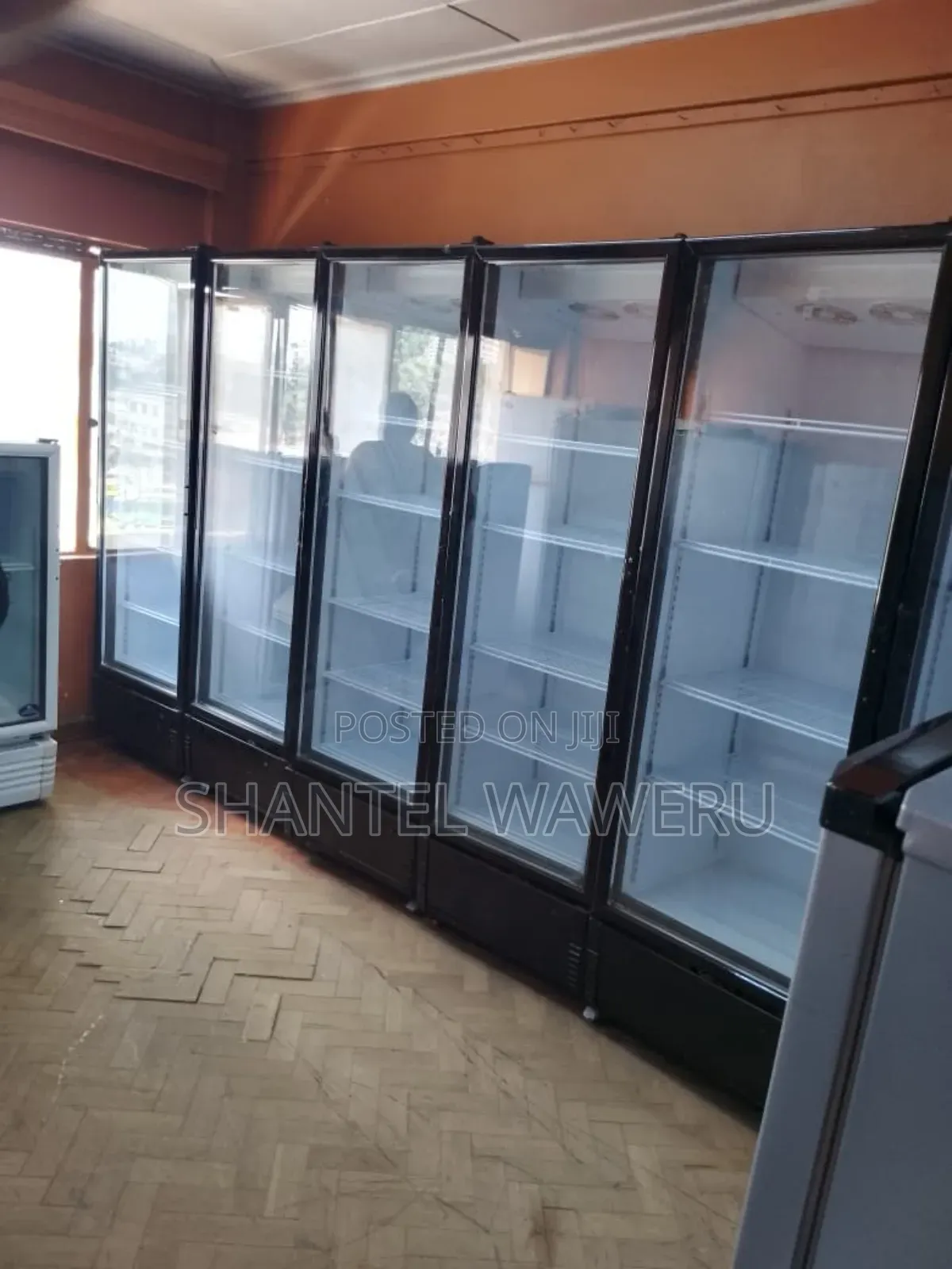 Selling Different Sizes of Display Fridges [ All Size)