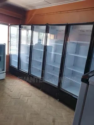 Selling Different Sizes of Display Fridges [ All Size)