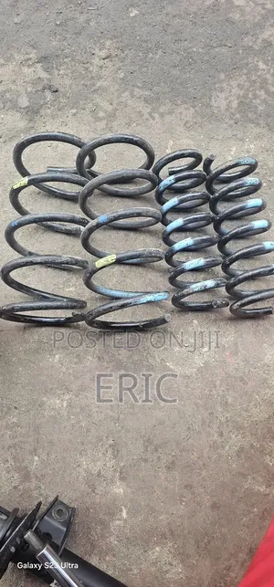 Nissan Teana Springs