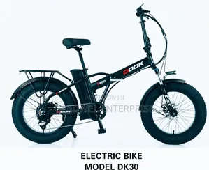 Approved Quality Electric Bike Alloy Frame 7 Speed 48v/10ah